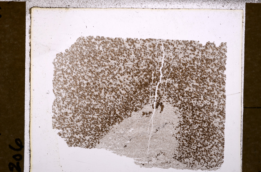 Plane Polarized, E30084