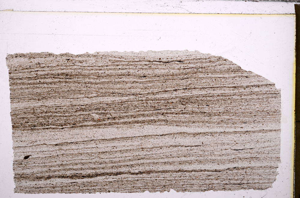 Plane Polarized, E30198