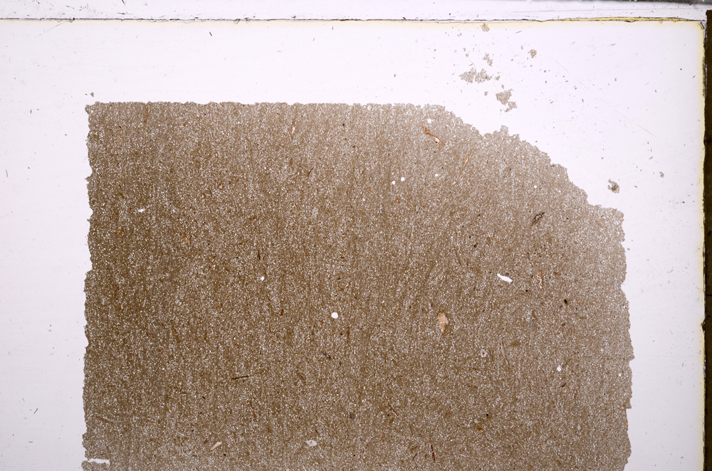 Plane Polarized, E30201