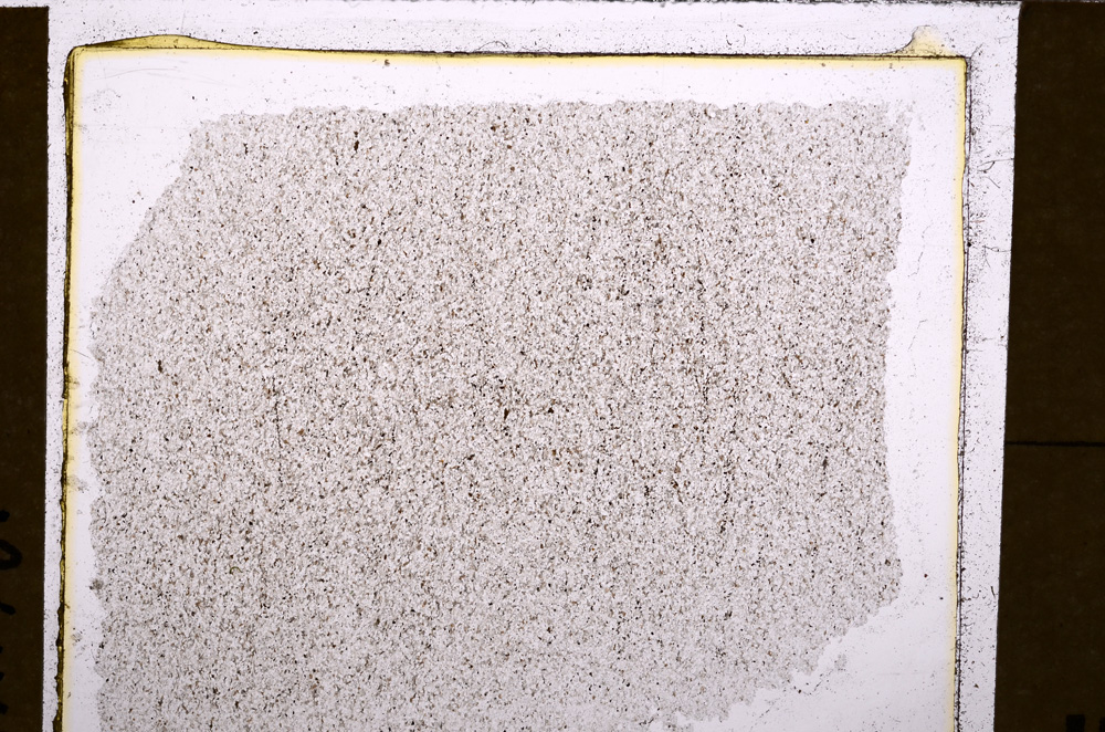 Plane Polarized, E30202