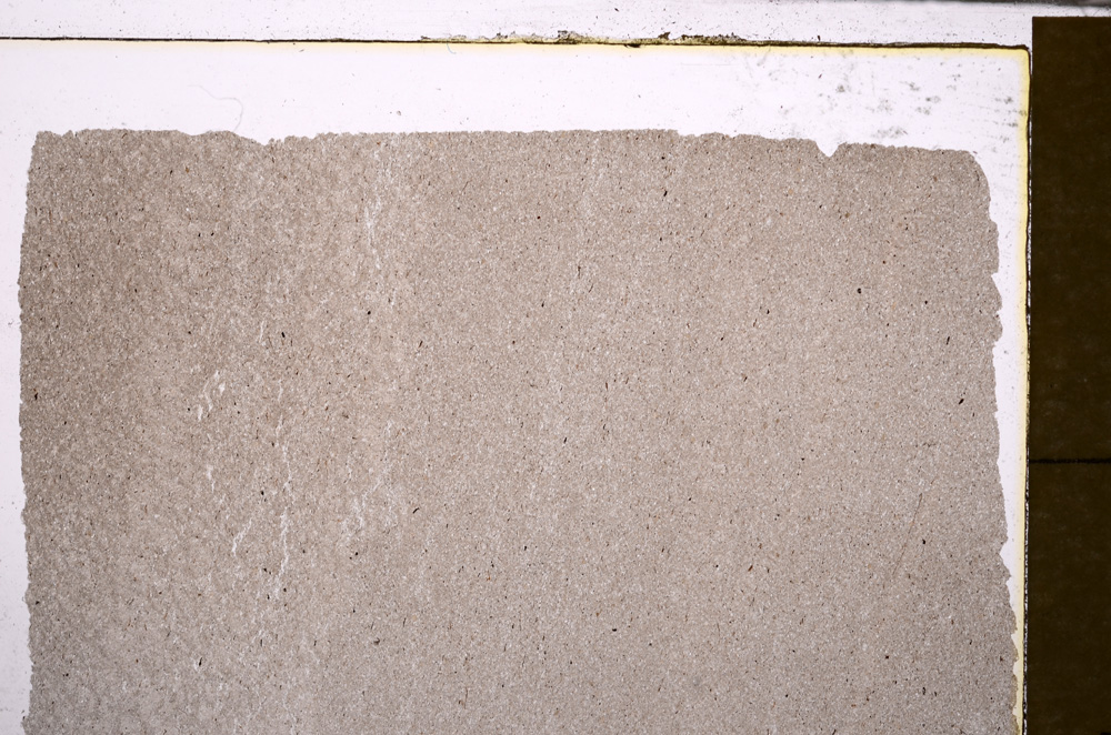 Plane Polarized, E30203