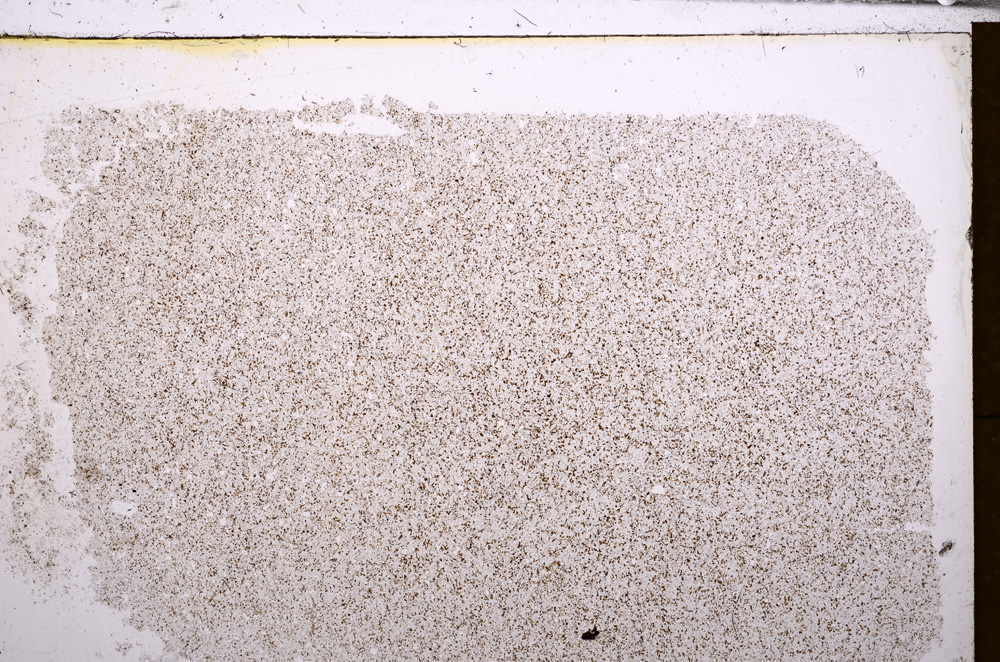 Plane Polarized, E30292