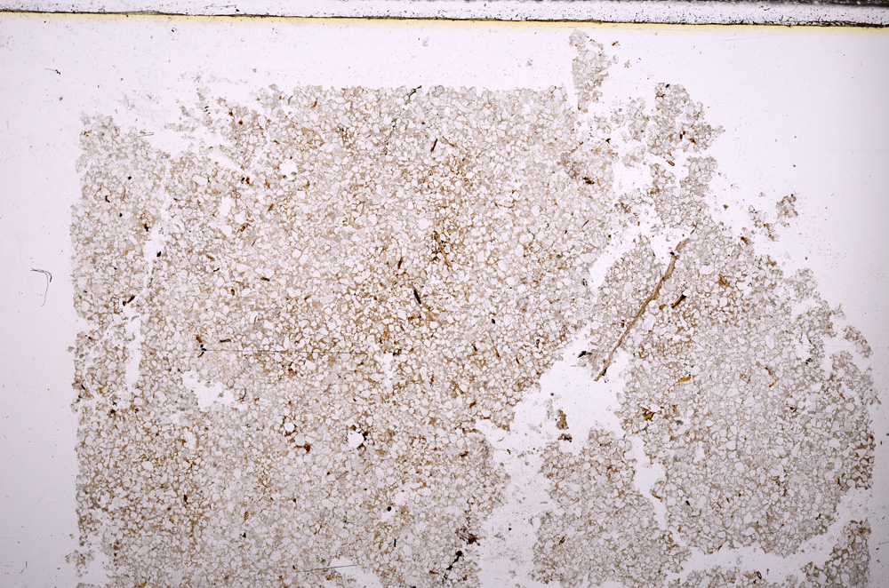 Plane Polarized, E30340