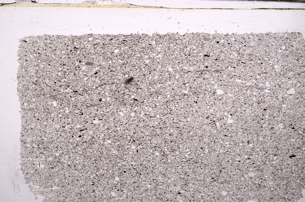 Plane Polarized, E30361