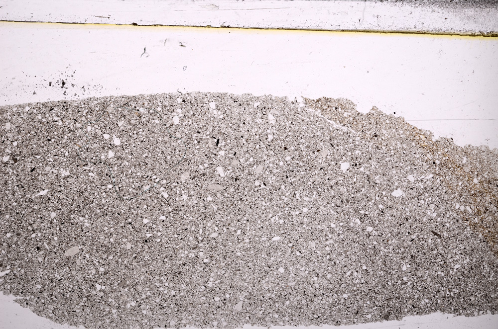 Plane Polarized, E30364