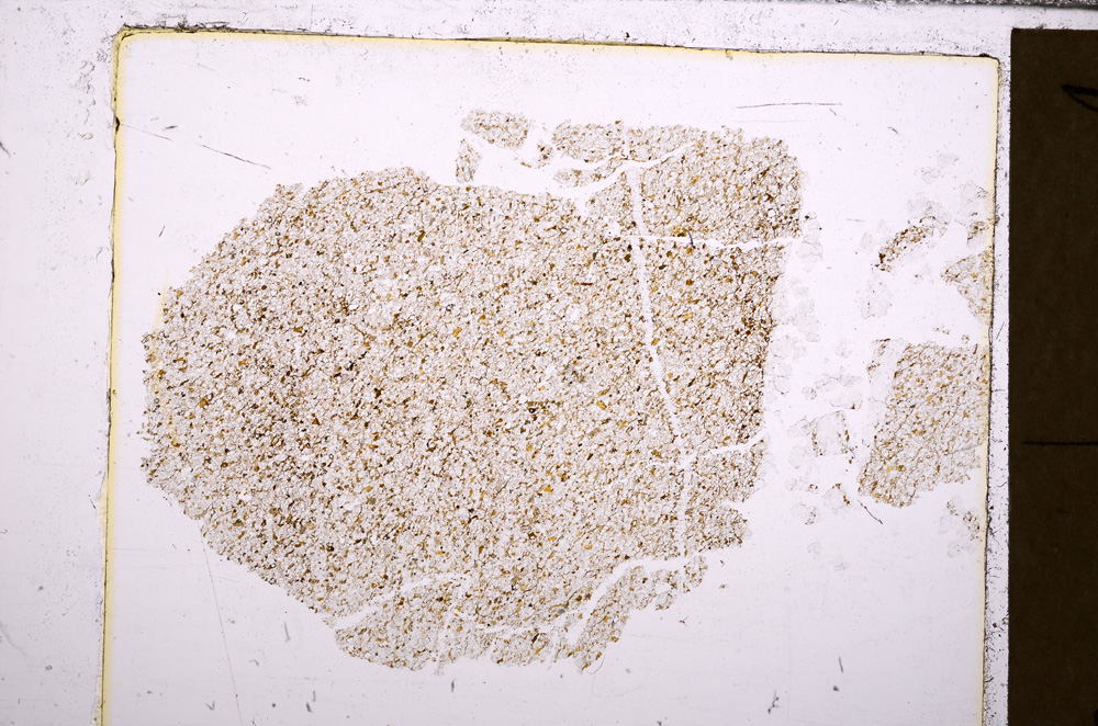 Plane Polarized, E30413