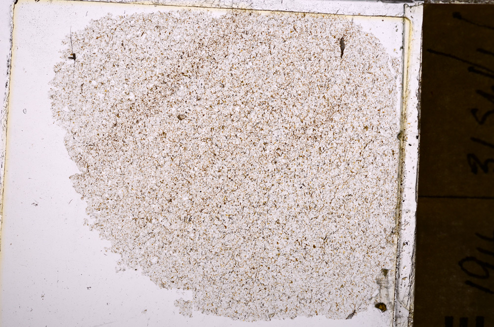 Plane Polarized, E30414