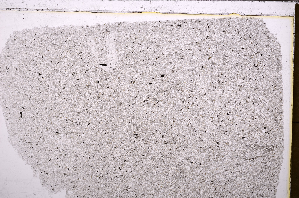 Plane Polarized, E30415