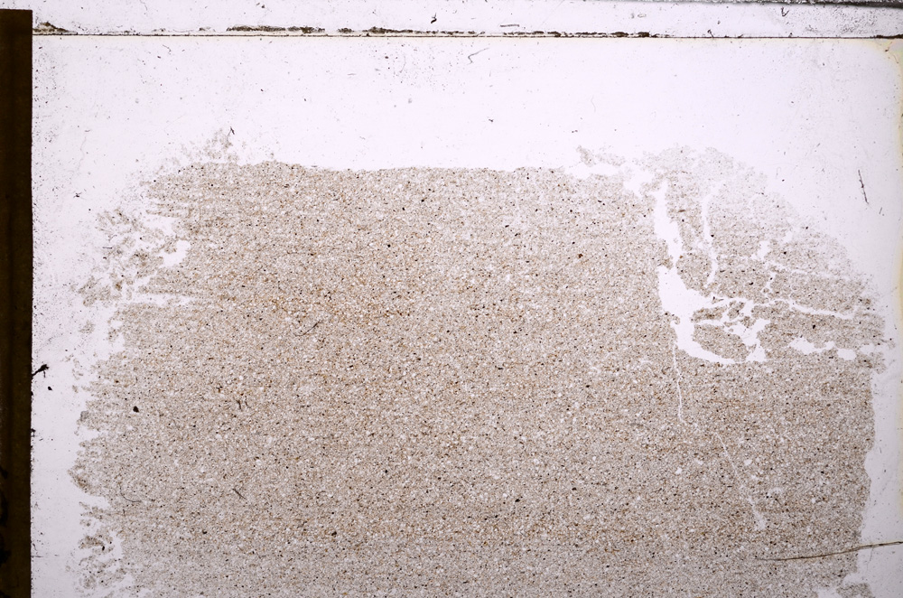 Plane Polarized, E30452