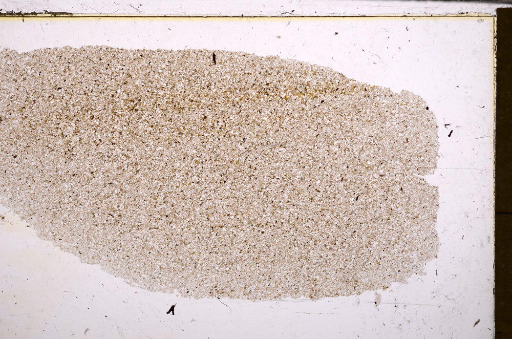 Plane Polarized, E30469