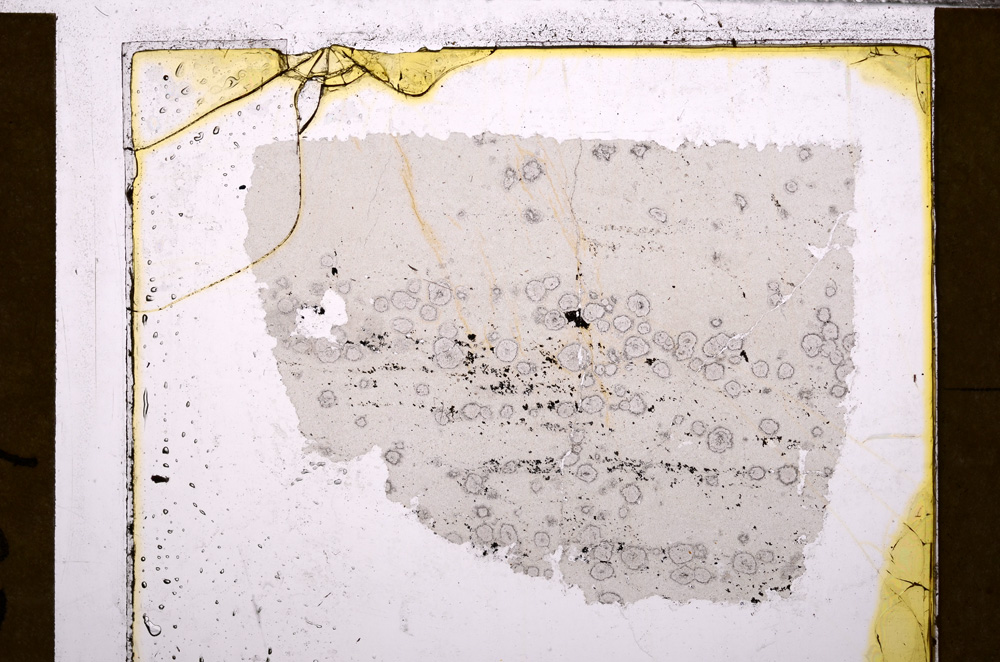 Plane Polarized, E30494