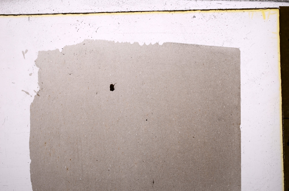 Plane Polarized, E30504