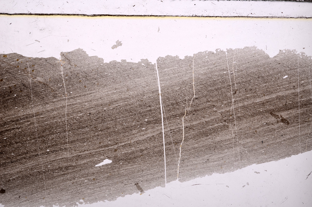 Plane Polarized, E30506