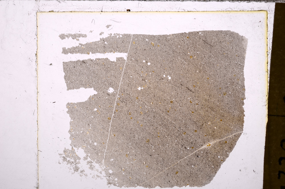 Plane Polarized, E30507