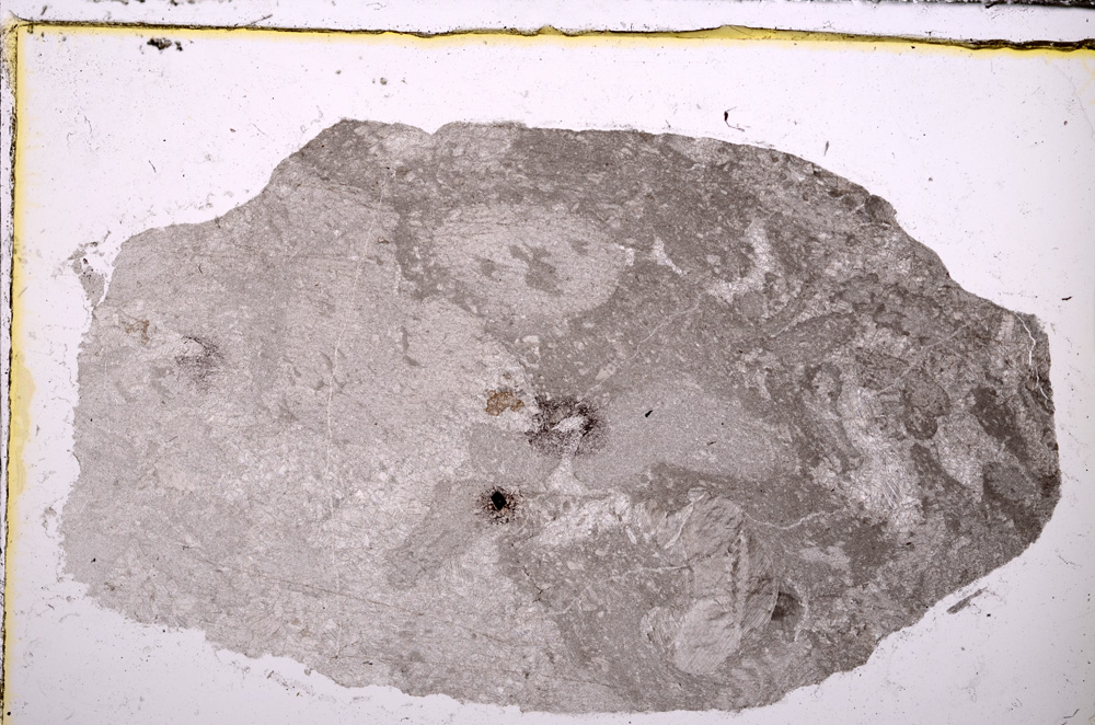 Plane Polarized, E30547