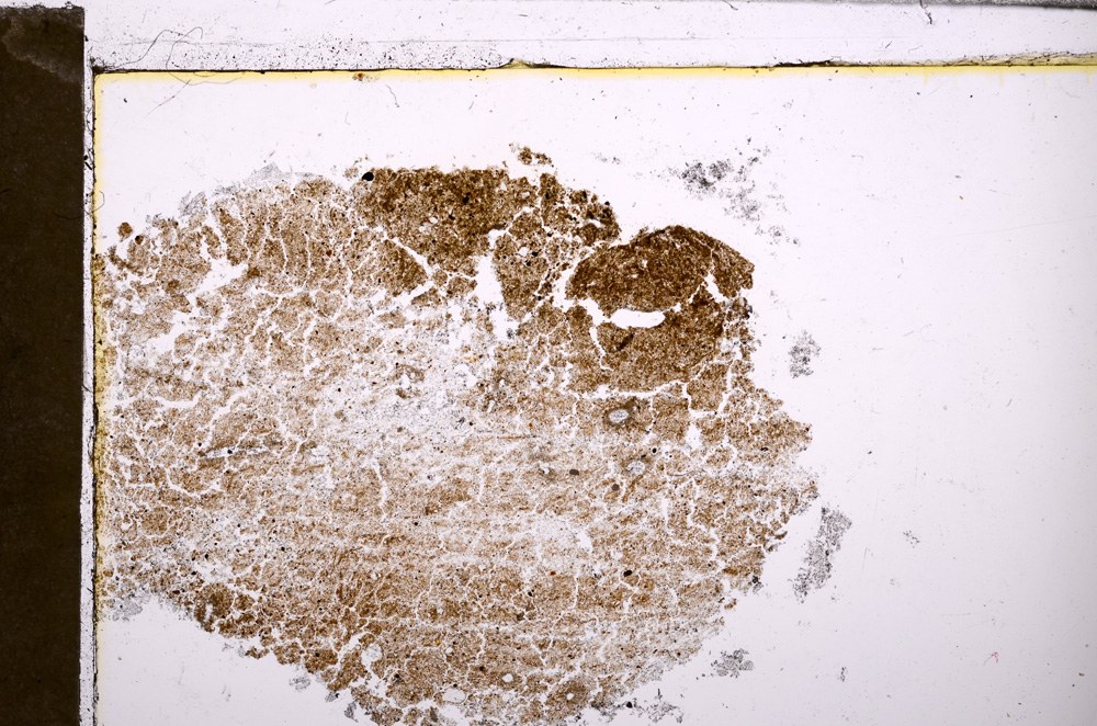 Plane Polarized, E30564