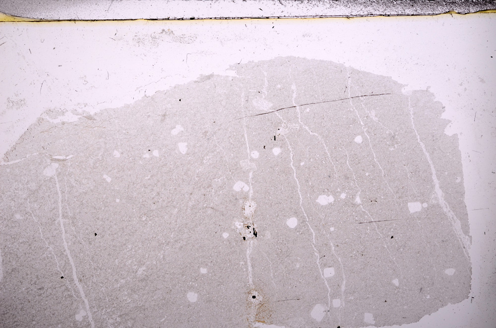 Plane Polarized, E30765