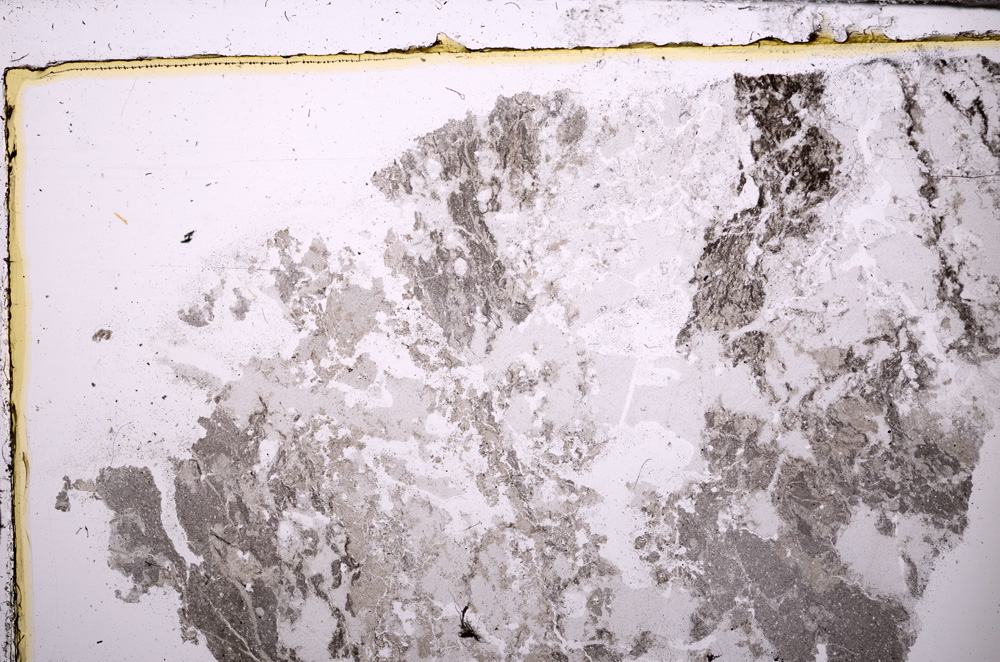 Plane Polarized, E30786