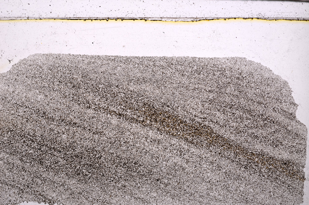 Plane Polarized, E30843
