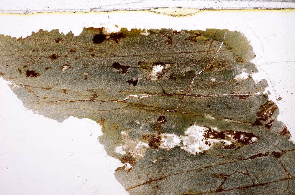 Plane Polarized, E30851