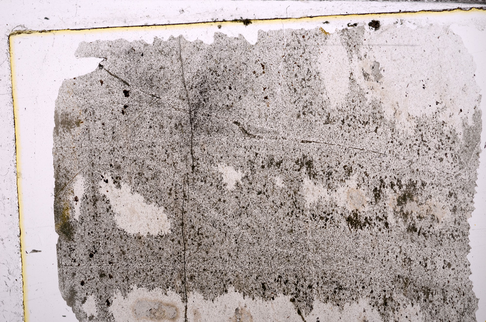 Plane Polarized, E30852