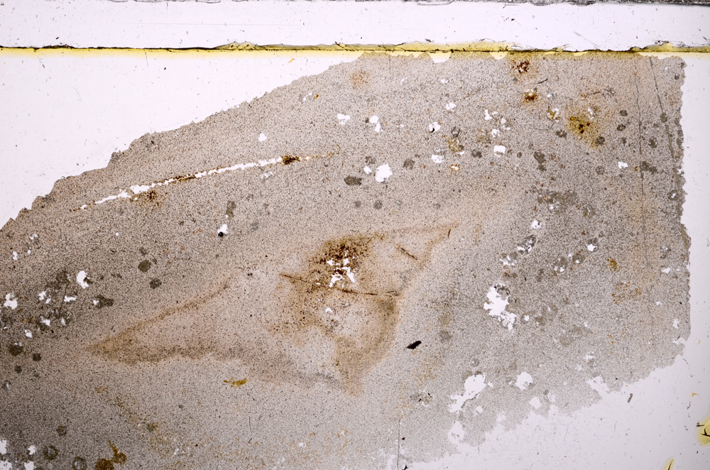 Plane Polarized, E30856