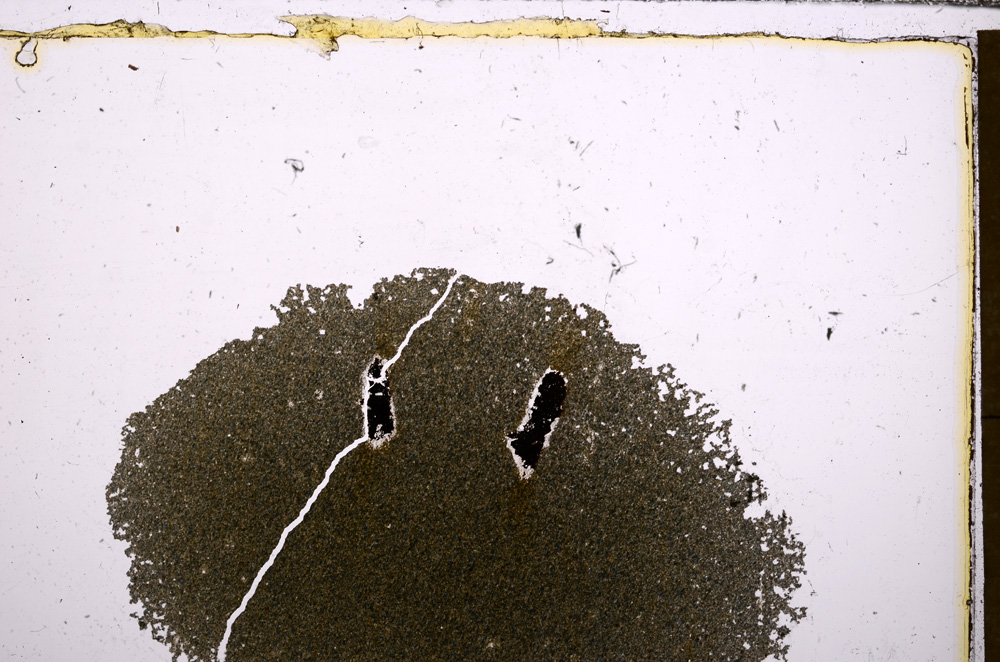 Plane Polarized, E30861