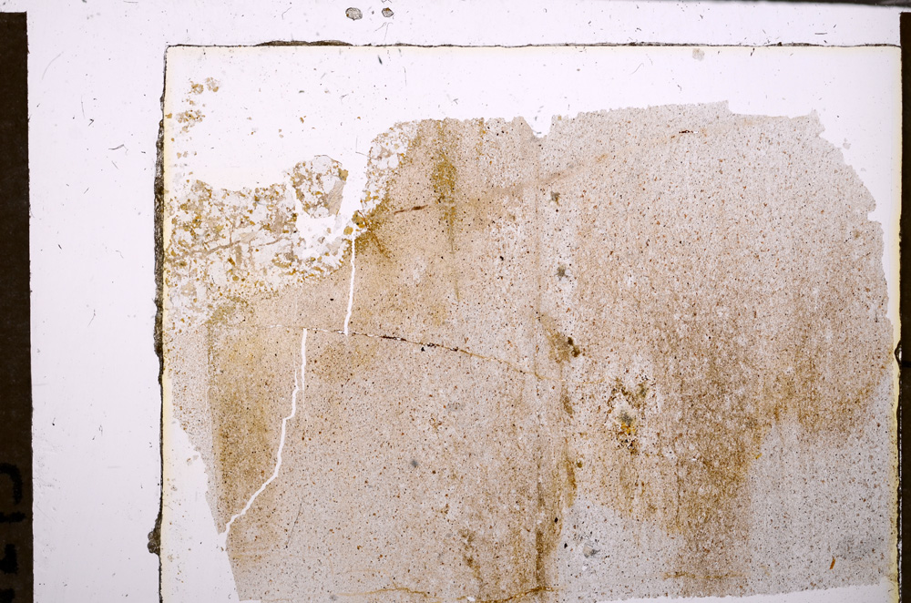 Plane Polarized, E30873