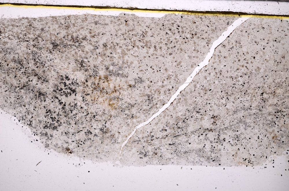 Plane Polarized, E30886
