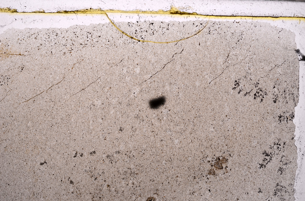 Plane Polarized, E30888