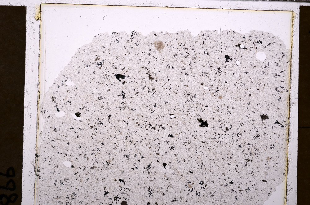Plane Polarized, E30899