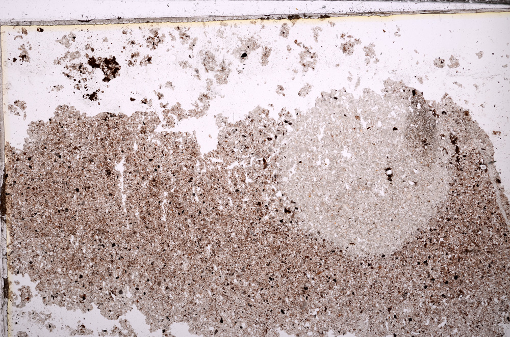 Plane Polarized, E30958