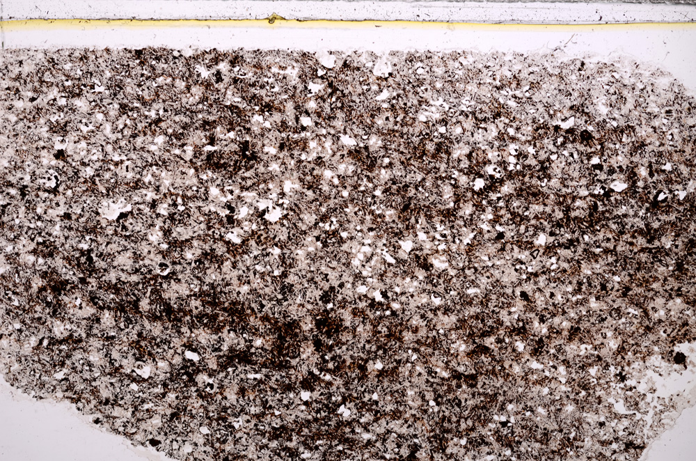 Plane Polarized, E30969