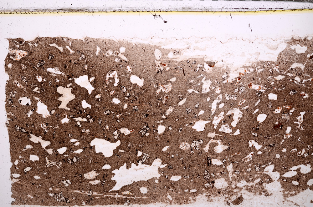 Plane Polarized, E30972