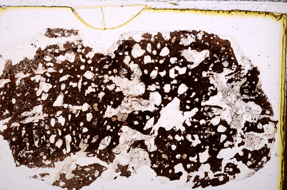 Plane Polarized, E30973