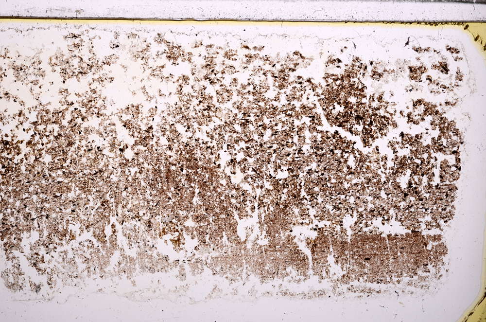 Plane Polarized, E30974