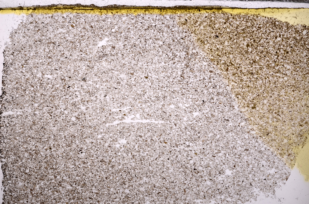 Plane Polarized, E31014