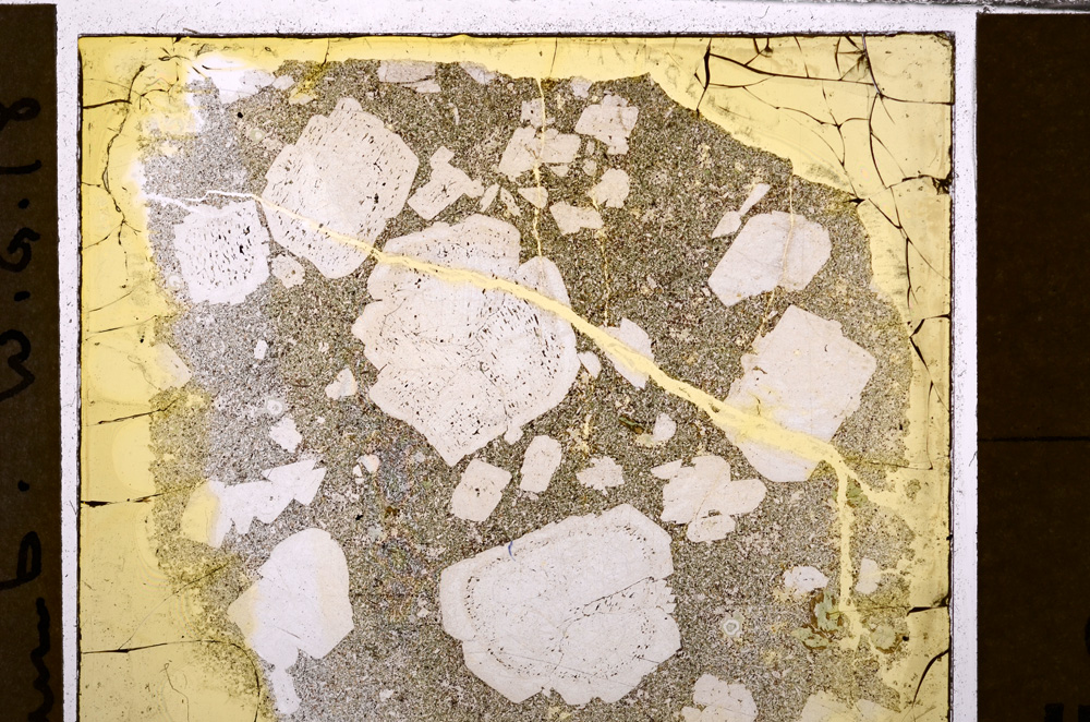 Plane Polarized, E31019