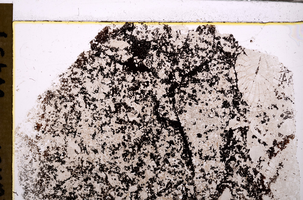 Plane Polarized, E31021