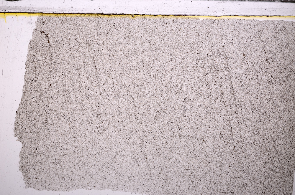 Plane Polarized, E31215