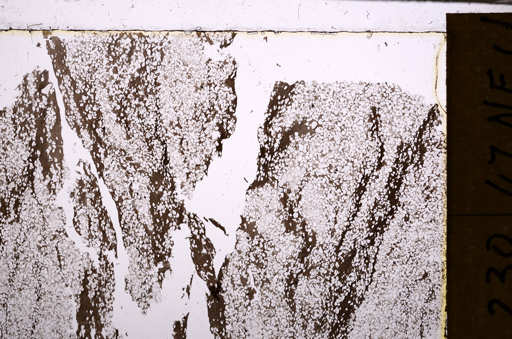 Plane Polarized, E31216