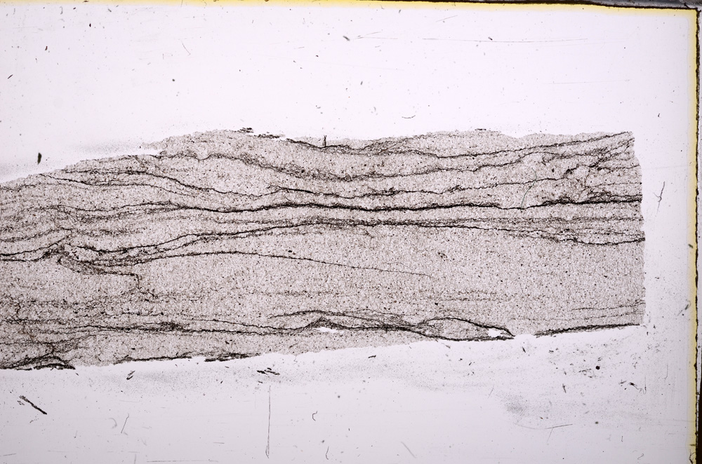 Plane Polarized, E31217