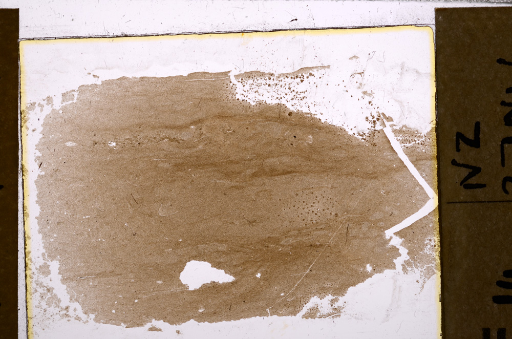 Plane Polarized, E31219