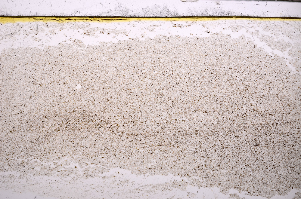 Plane Polarized, E31238