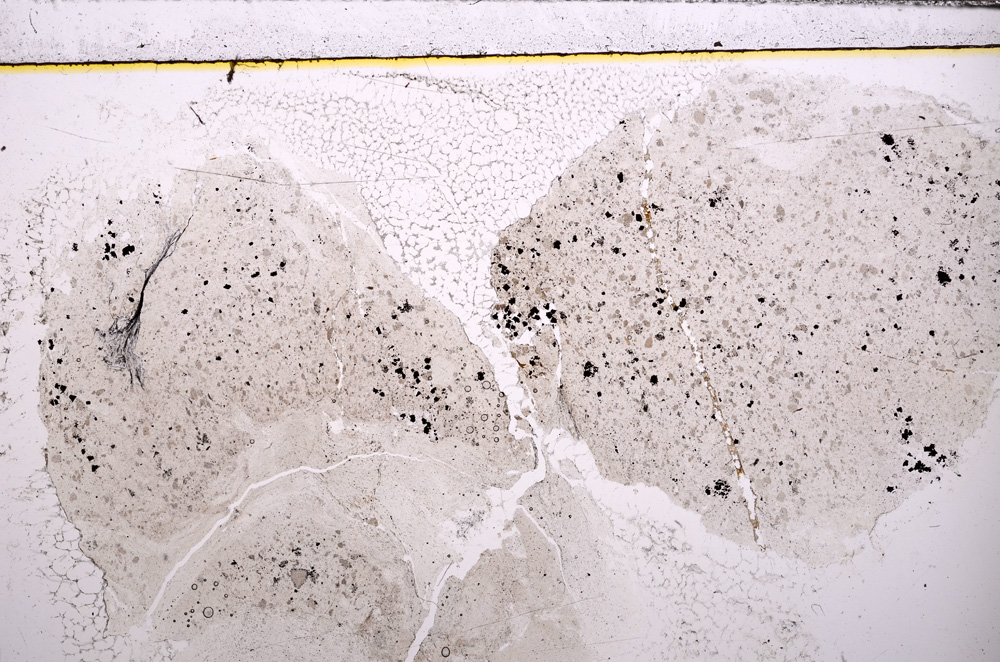 Plane Polarized, E31277