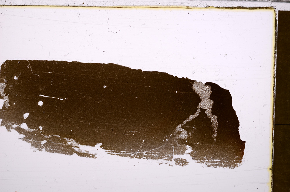 Plane Polarized, E31317