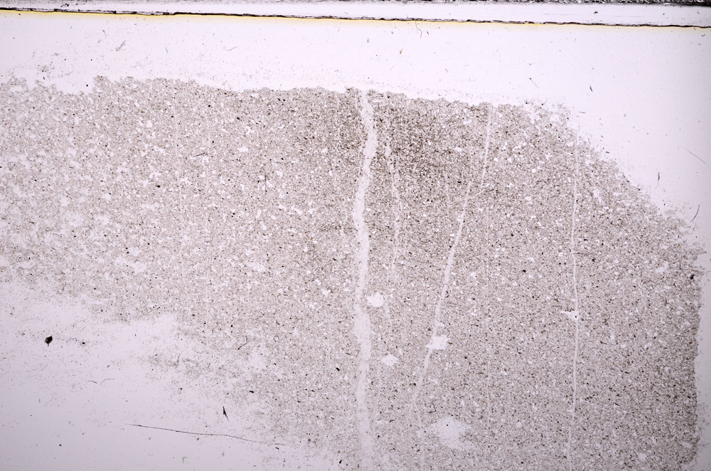 Plane Polarized, E31318