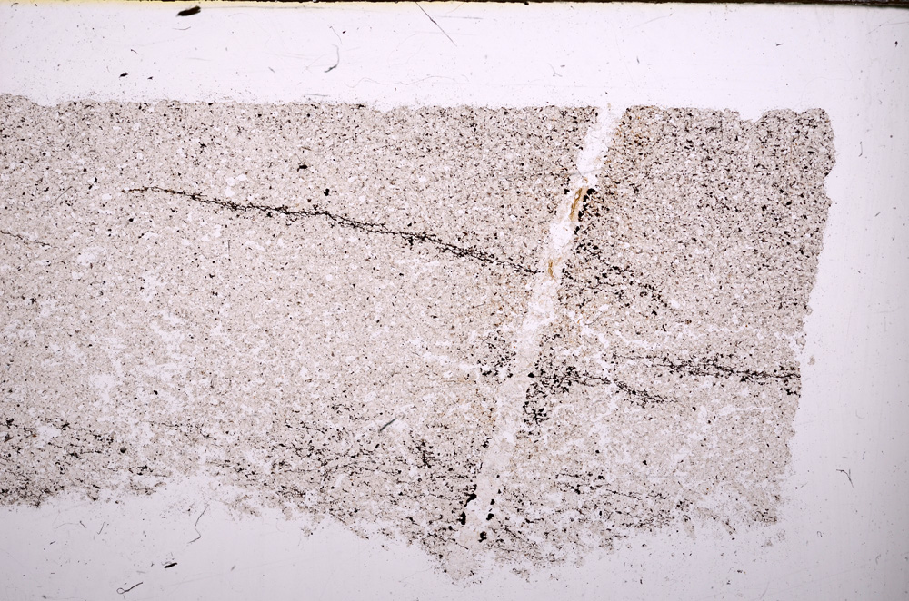 Plane Polarized, E31342