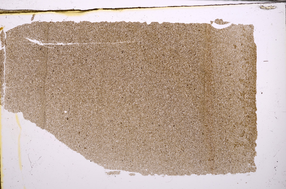 Plane Polarized, E31356