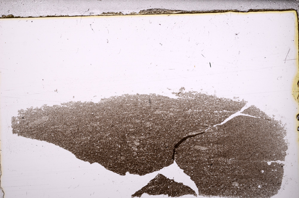 Plane Polarized, E31359